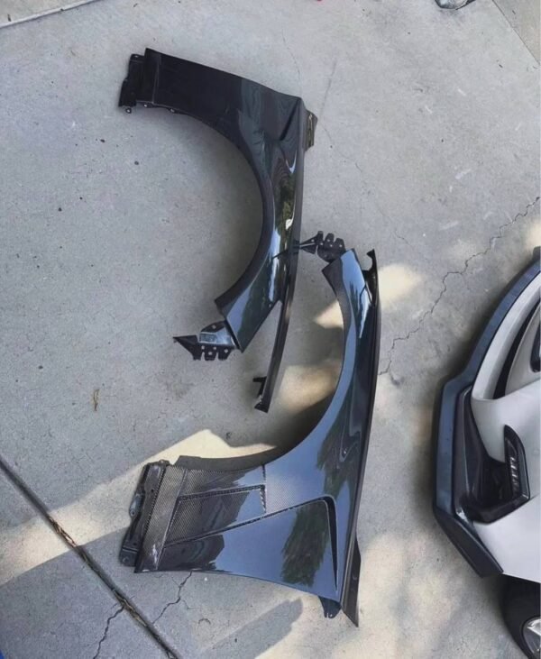 Carbon Fenders