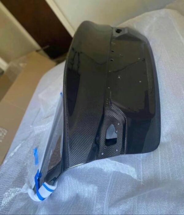 Carbon Fiber Trunk