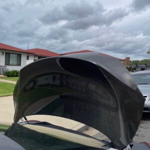 Carbon Fiber Trunk
