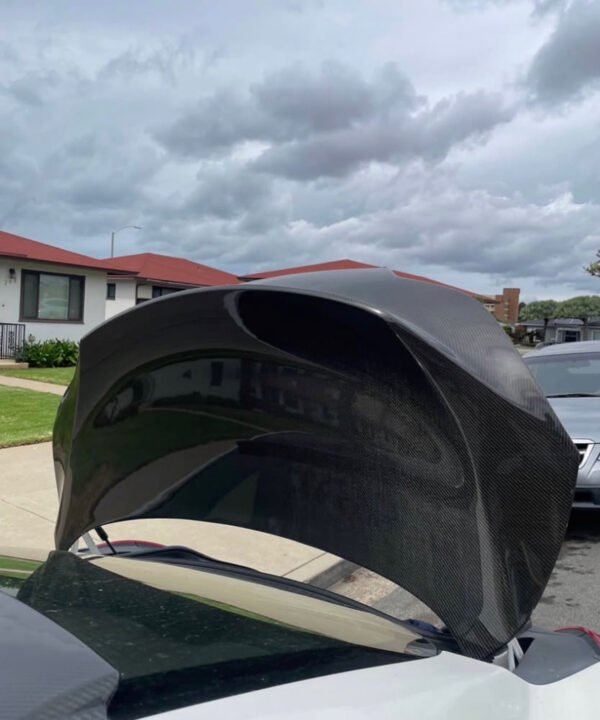 Carbon Fiber Trunk