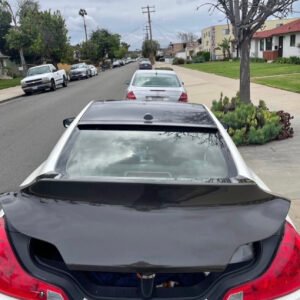 Carbon Fiber Trunk