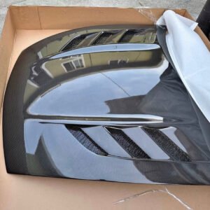 AMS-GT Hood