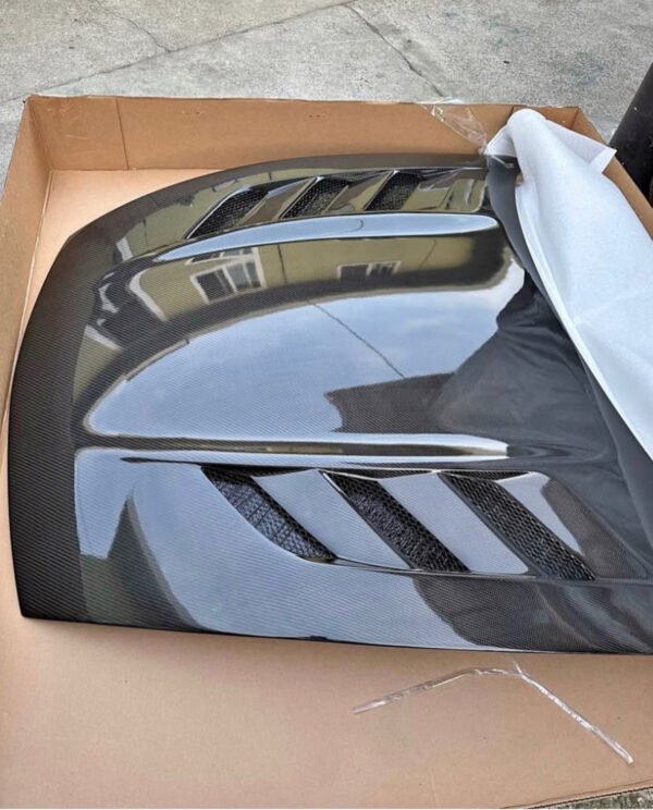AMS-GT Hood - Image 2