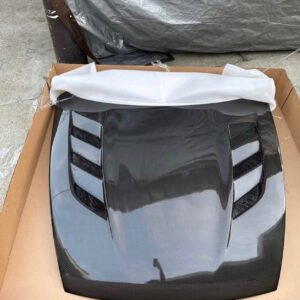 AMS-GT Hood