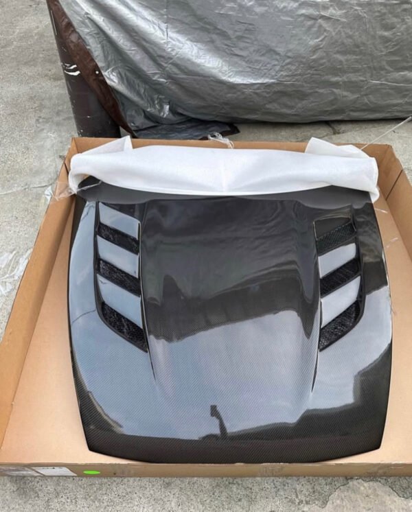 AMS-GT Hood