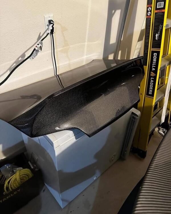 Carbon fiber trunk