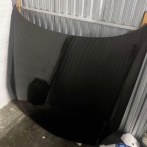 Carbon fiber hood
