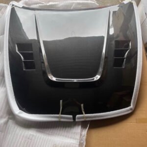 Carbon fiber hood terminator style