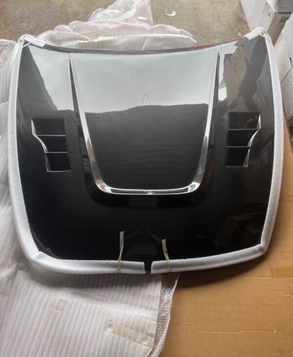 Carbon fiber hood terminator style - Image 2