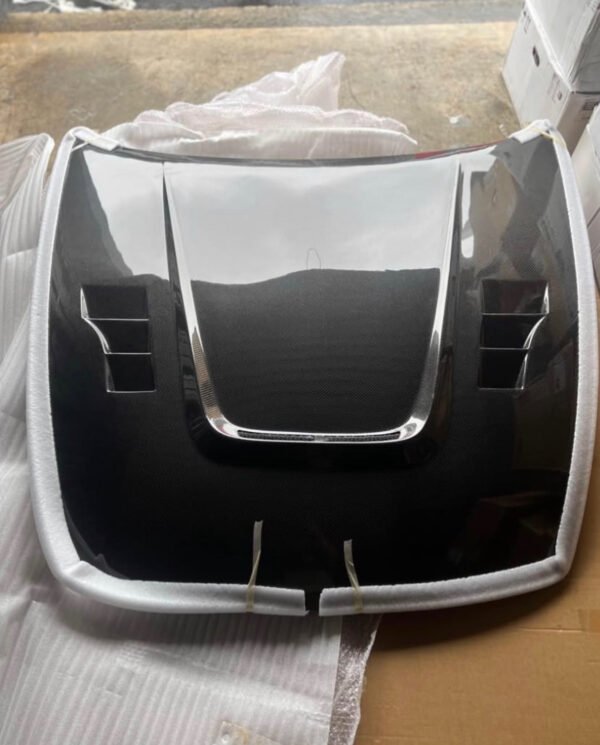 Carbon fiber hood terminator style